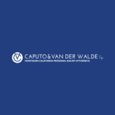 Caputo & Van Der Walde LLP